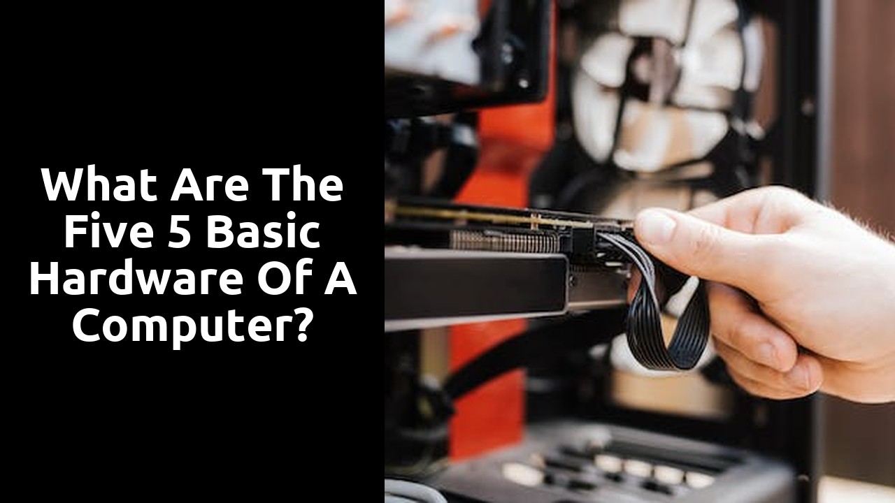What are the five 5 basic hardware of a computer?